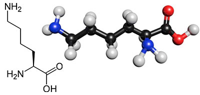 Lisina - C6H14N2O2